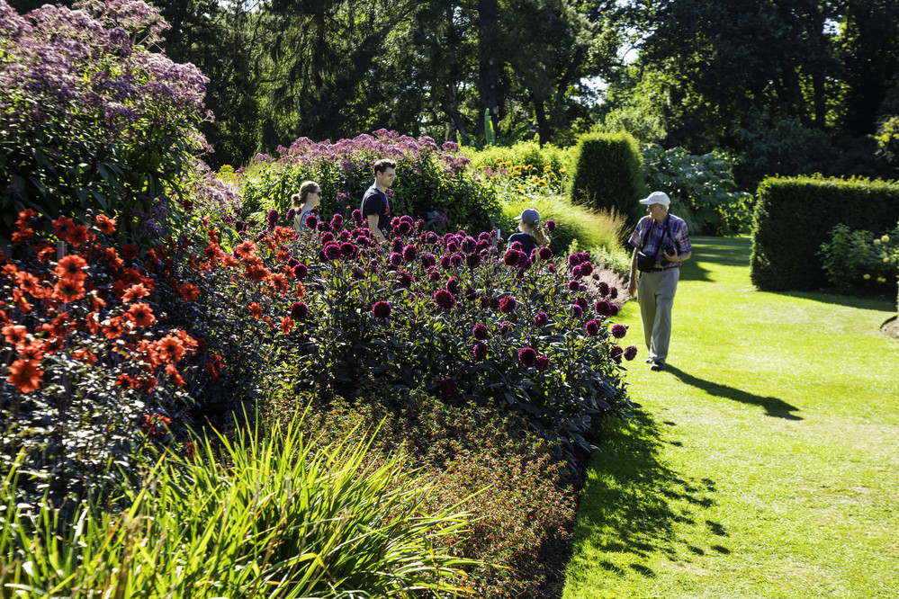 The Savill Garden's Summer Borders